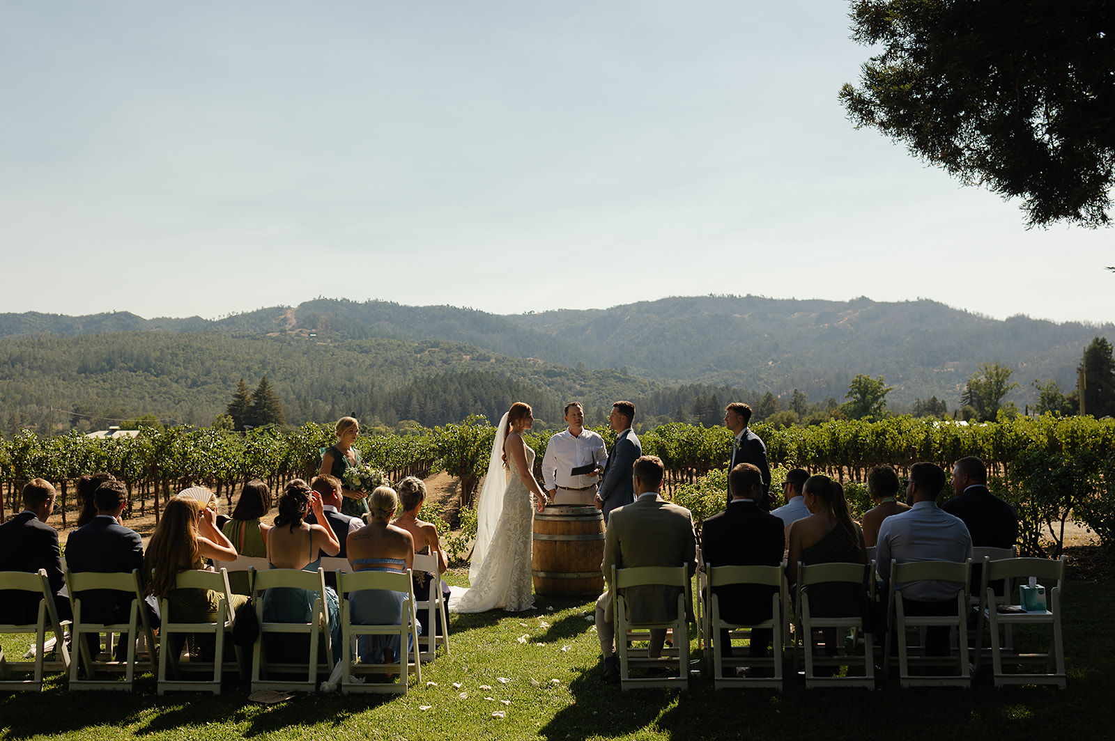 Late summer vineyard view during outdoor Napa Valley wedding