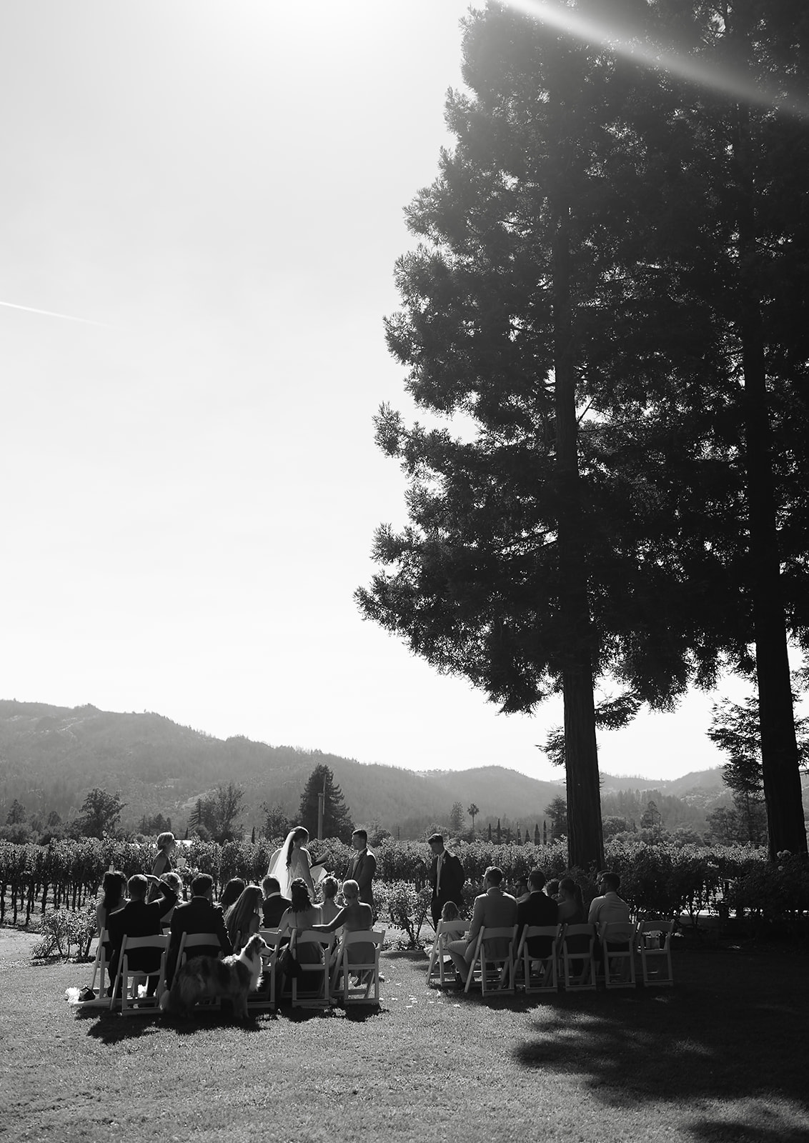 Intimate wedding ceremony at Harvest Inn