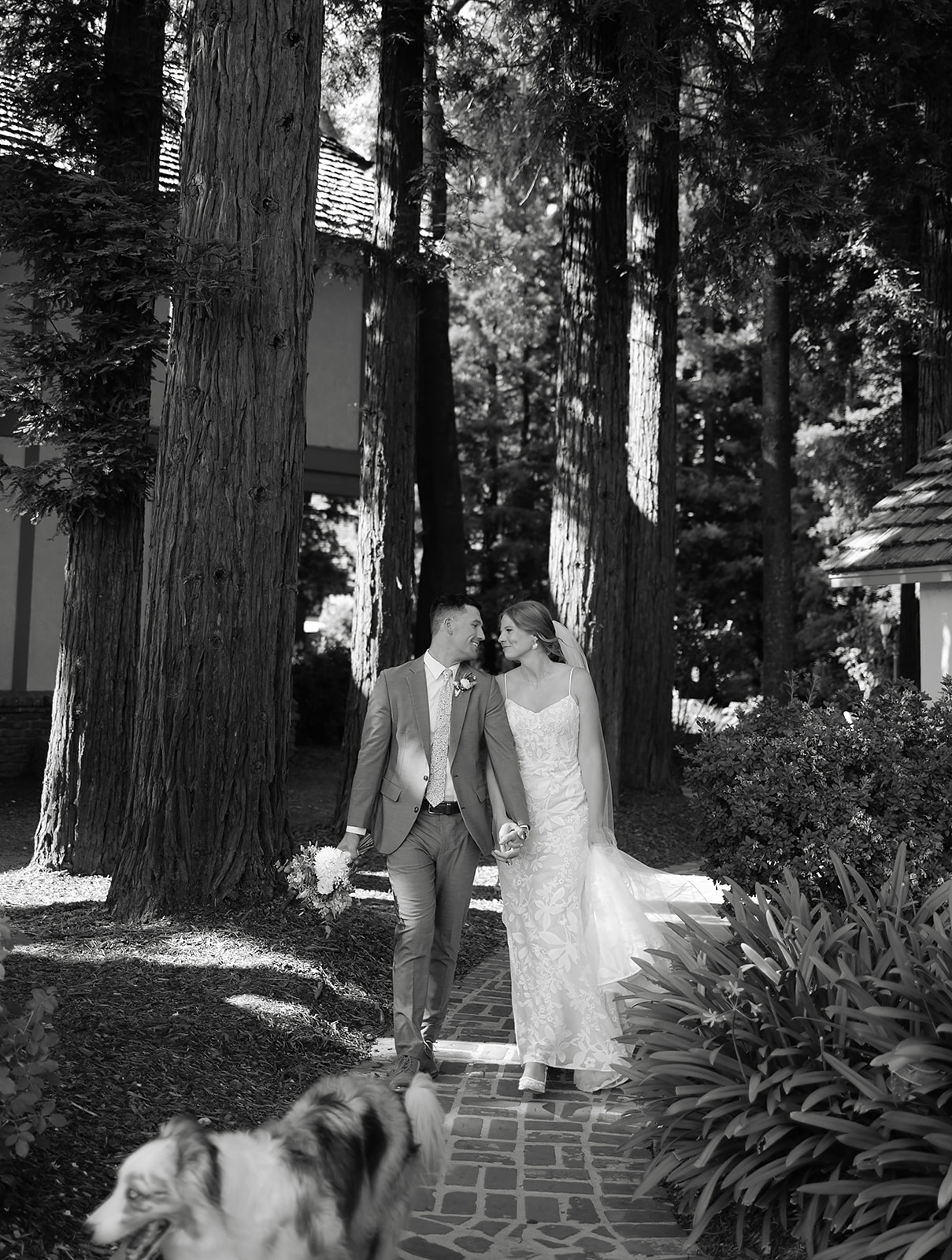 Bride and groom walking through garden pathways at Harvest Inn in Napa