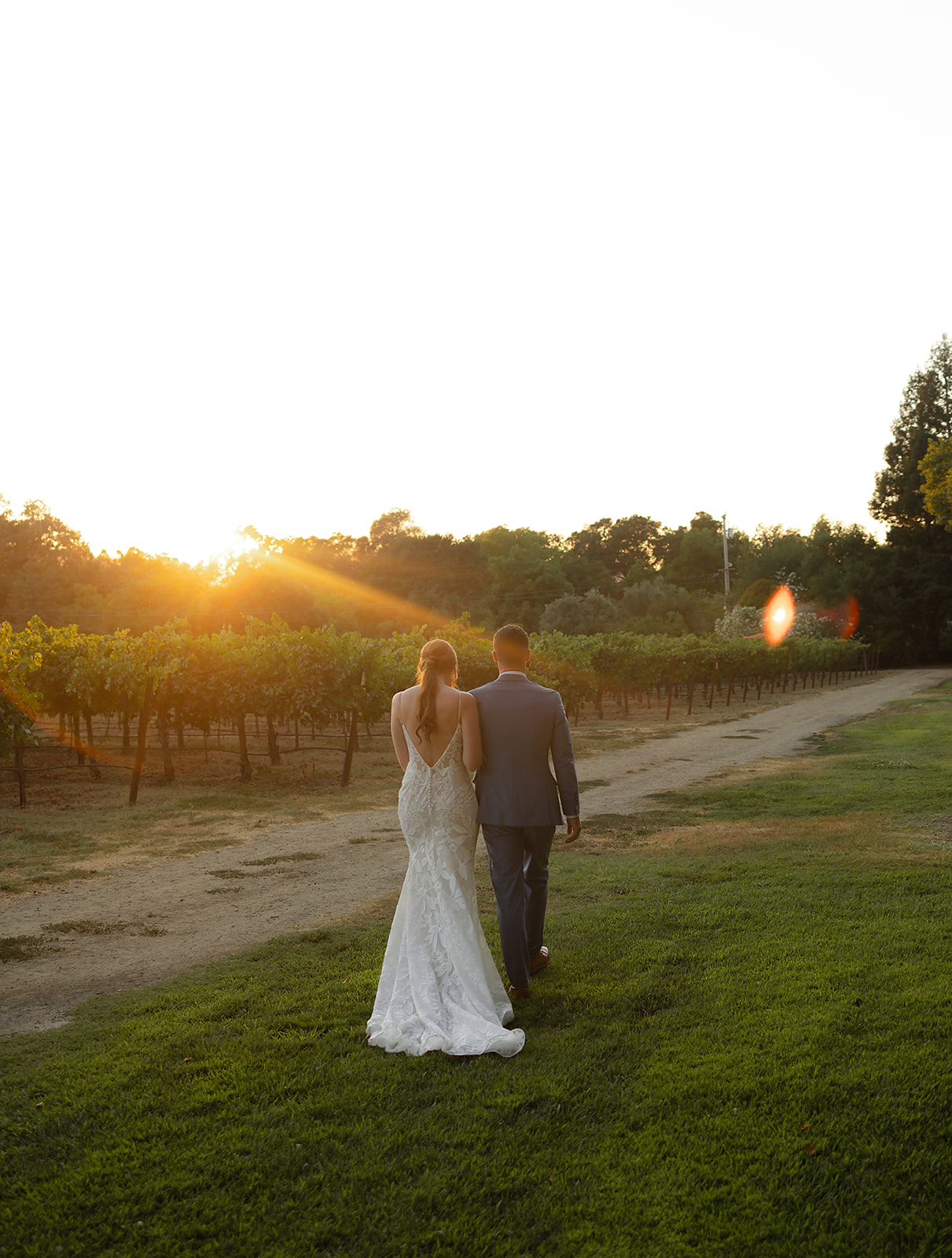 Couple holding hands while walking through vineyard at sunset