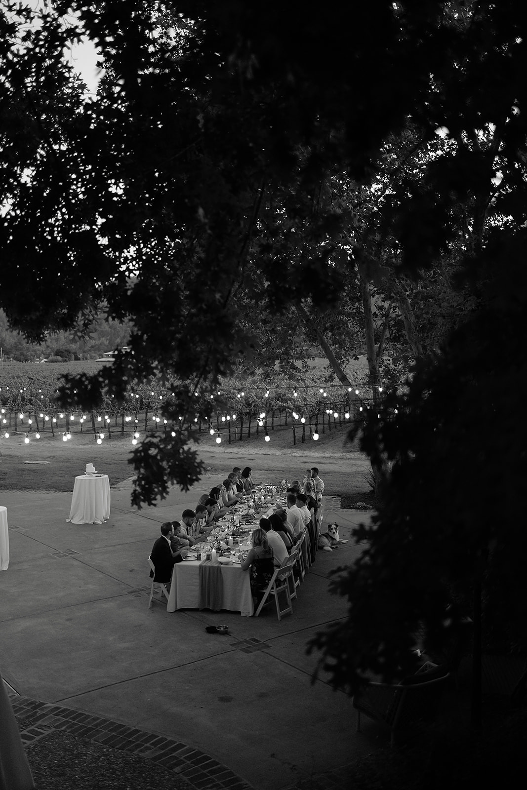Outdoor reception atmosphere surrounded by vineyards in Napa